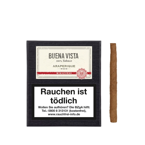 98214_buena_vista_miniaturas_3