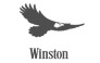 Winston Winston